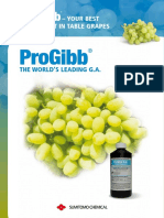 Progibbga Grape Flyer