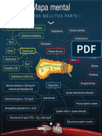 MapamentalDiabetesmellitusparte1-1526052049058