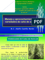 02DesarrollodeVariedades.ppt