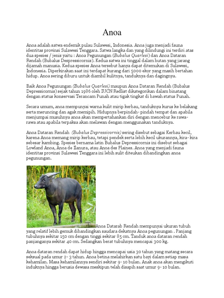 Info Hewan Langka Pdf