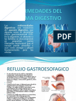 Enfermedades Del Sistema Digestivo