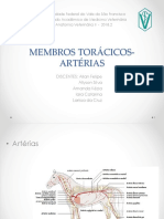 Membros Torácicos - Artérias