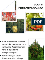 pertemuan5perkembanganbuah-121113030726-phpapp01