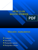 Músculos  masticatorios