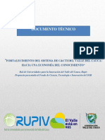 Informe Cali Gestion Del Conocimiento PDF