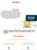 NEUROTRANSMISORES Dipositiva