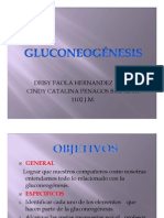 Exposiciones Gluconeogenesis 11