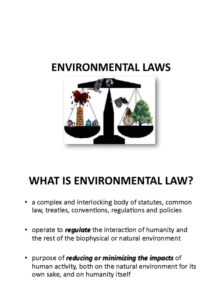 Overview of Environmental Laws | PDF | Environmental Law | Habitat