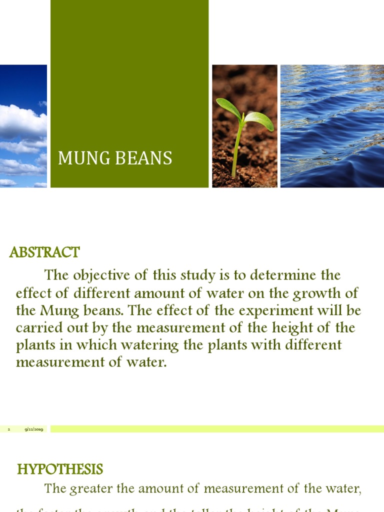 The Effect of Varying Water Amounts on the Growth of Mung Bean Plants ...