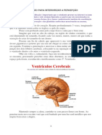 MEDITAÇÃO PARA INTERIORIZAR A PERCEPÇÃO (1).pdf