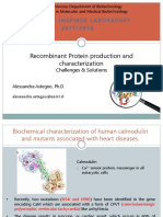 Recombinant Protein Production and Characterization: Research-Inspired Laboratory 2017/2018