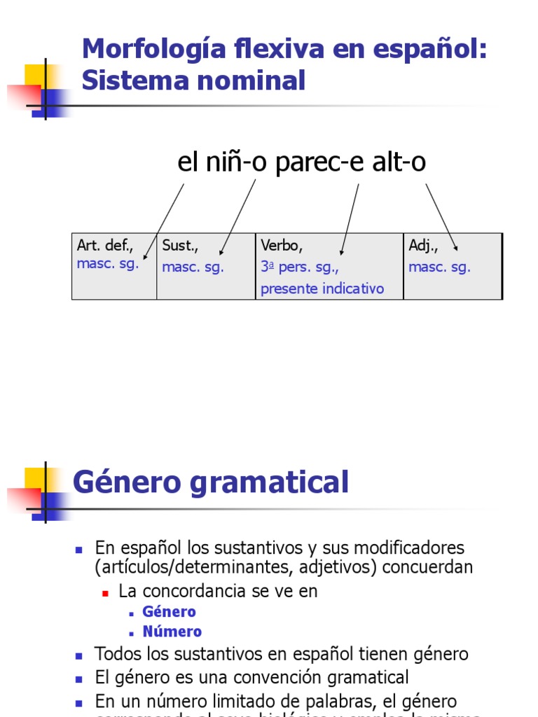 Morfología flexiva en español Sistema nominal el niño parece alto Género gramatical