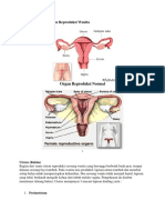 Mengenal Bagian Organ Reproduksi Wanita