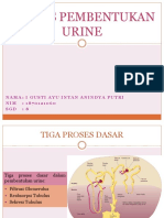 SP Anin Proses Pembentukan Urine