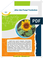 Bab 3 Struktur Danfungsi Tumbuhan PDF