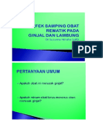 Efek Samping Obat Rematik Pada Ginjal Dan Lambung