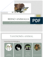 Reino Animalia Taxonomia SEM4