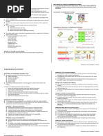 Economy Lecture Handout