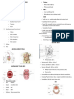 (Sudh) .Anatomi Fisiologi Sistem Pencernaan