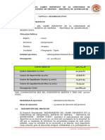 Resumen Ejecutivo-Tipon