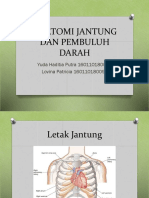 Anatomi Jantung Dan Pembuluh Darah