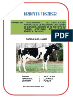 175999884-Expediente-Tecnico-Puquio-248988-Ganado-Lechero.pdf