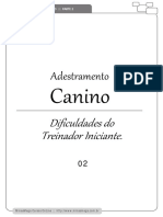 Adestramento Canino - Dificildades de Um Adestrador Iniciante