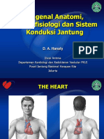 Mengenal Anatomi, Elektrofisiologi Dan Sistem Konduksi Jantung