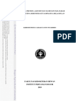 Plasma PDF