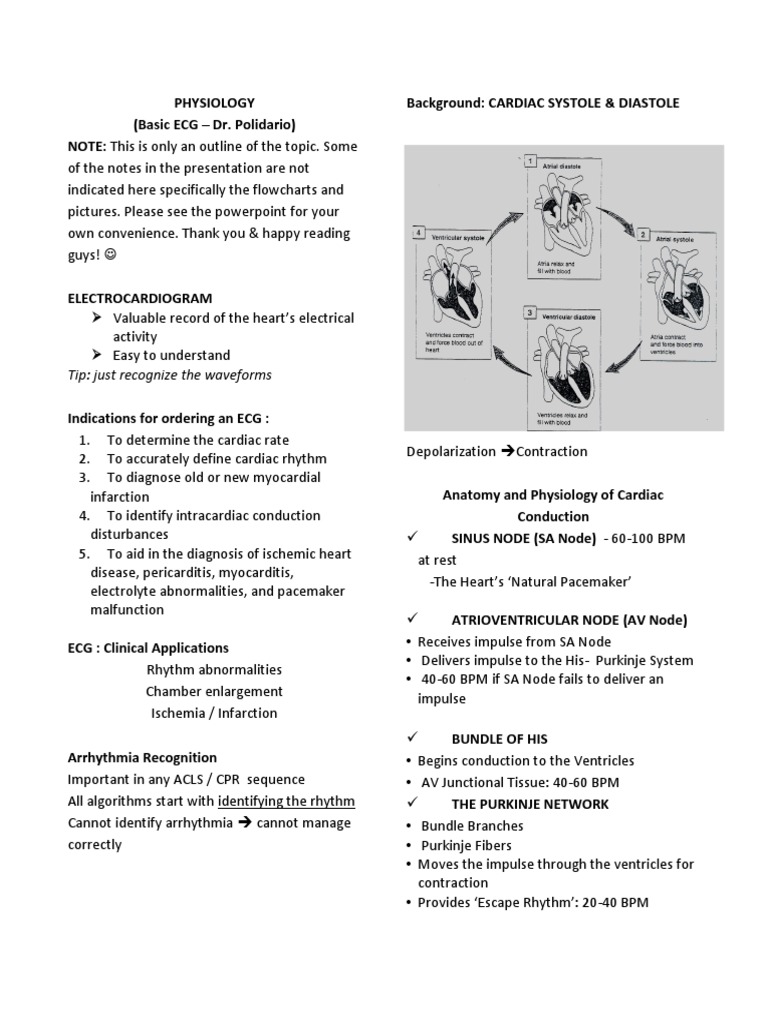 Basic ECG | PDF | Electrocardiography | Cardiology