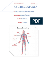 Sistema Circulatorio