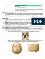 03 - Sistema Articular.pdf