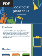 Looking at Cells