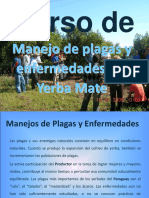 Curso Manejo de Plagas en Yerba Mate