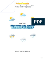 Proiect Tematic 1 PDF