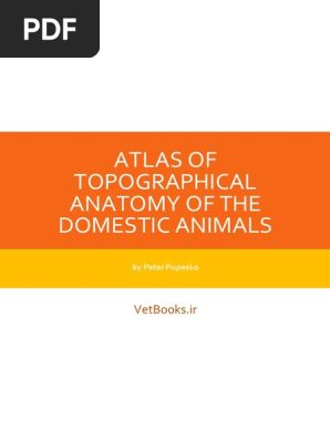 Atlas Of Topographical Anatomy Of The Domestic Animals Vetbooks Ir Pdf Pdf