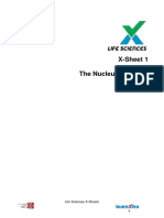 X-Sheet 1 The Nucleus and DNA: Life Sciences X-Sheets