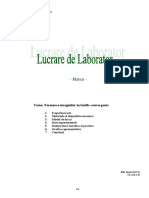 Lucrare de Laborator (Model) Fizica