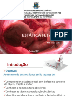 Estatica-Fetal - Otimo PDF