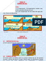 DOMOS y SaLES PDF