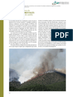 Detección de Incendios Frestales Con Satelite PDF