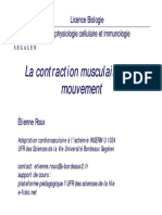 le_muscle.pdf