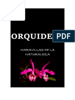 Orquideas 2