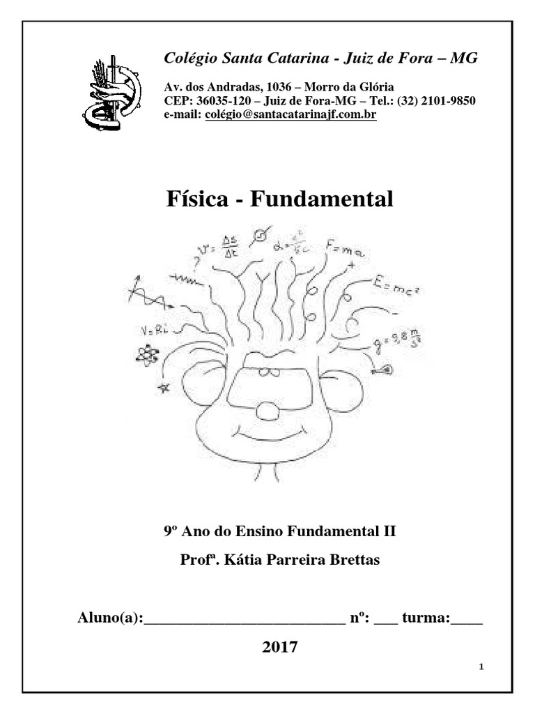 Apostila de Fisica | PDF | Leis do Movimento de Newton | Velocidade