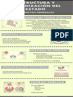 Infografia Estrutura y Organizacion Del Estado