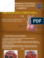 SEMINARIO N°3 -CIRCULACION CORONARIA