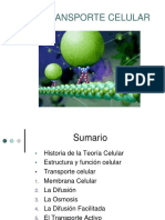 2.3.Transporte celular PRISCILA.pdf