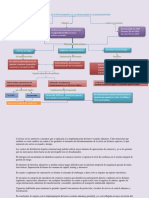 Mapa Conceptual