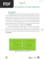 Quimibol  - revisando a Química Orgânica.pdf