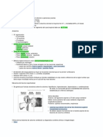 Trauma Raquimedular